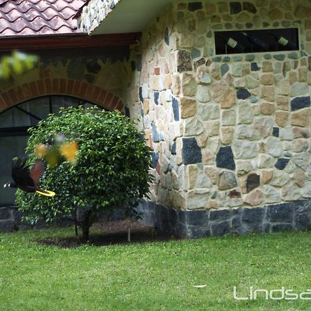 Gingerbread Restaurant & Hotel Nuevo Arenal Exterior foto
